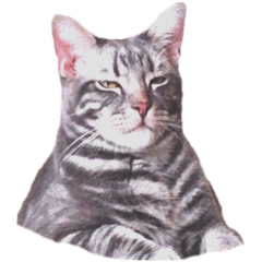 [LINEスタンプ] ねこのすぅ様