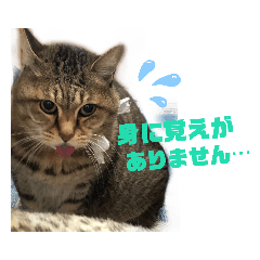 [LINEスタンプ] メイと申します