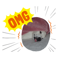 [LINEスタンプ] ラッキーの日常スタンプ2