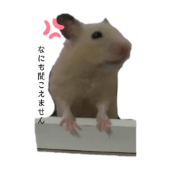 [LINEスタンプ] 権三郎