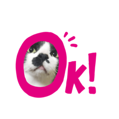 [LINEスタンプ] ぶちねこ8