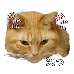 [LINEスタンプ] わが家のキング