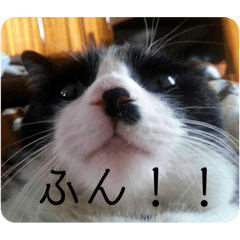 [LINEスタンプ] のんといずみ♡