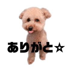 [LINEスタンプ] ノア(シンプルver.)