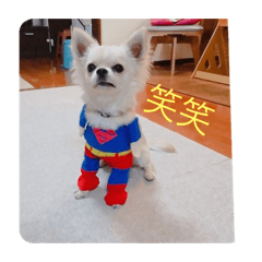 [LINEスタンプ] ふうたくんの日常生活1