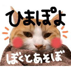 [LINEスタンプ] きまぐれ拳王くんとおてんば玲愛ちゃん