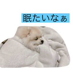 [LINEスタンプ] ポポが可愛いシリーズ2