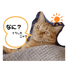 [LINEスタンプ] バロンだにゃ