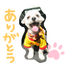 [LINEスタンプ] ぎんたん1