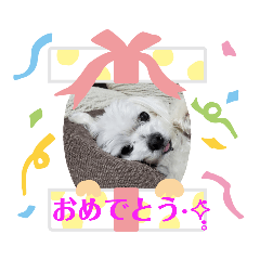 [LINEスタンプ] ユキチーズ3
