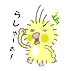 [LINEスタンプ] オカメインコの寝ぐせ