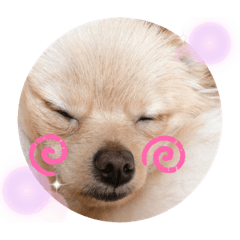 [LINEスタンプ] あんこB
