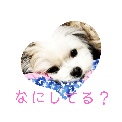 [LINEスタンプ] びびLINE