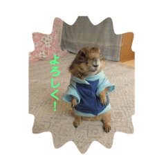 [LINEスタンプ] ジャッキー スタンプ