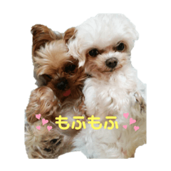 [LINEスタンプ] ハッピー＆つくし