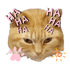 [LINEスタンプ] キングの日々(2)