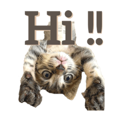[LINEスタンプ] my fam！！！！！