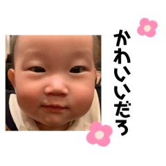 [LINEスタンプ] ココナッツ怪獣の一言 Part2