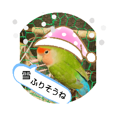 [LINEスタンプ] kawafamily21