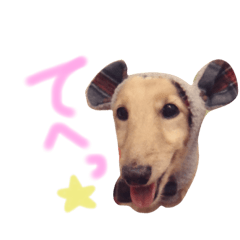 [LINEスタンプ] かわいい犬さん-kawaii inu san-