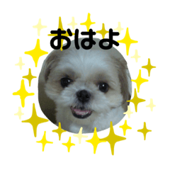 [LINEスタンプ] ももすた2