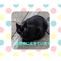 [LINEスタンプ] スタンプ癒し