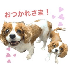 [LINEスタンプ] ノアエマ劇場