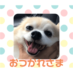 [LINEスタンプ] のんちゃん915②