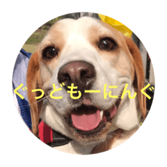 [LINEスタンプ] 五家っぺ麻呂っぺ日常生活スタンプ