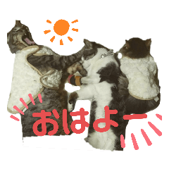 [LINEスタンプ] M家Family