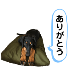 [LINEスタンプ] そらみスタンプ 40個セット 1