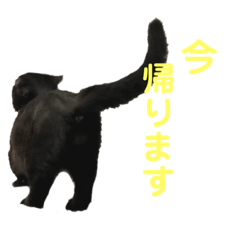 [LINEスタンプ] くー  と  ぽぽ 2
