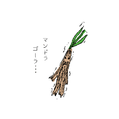 [LINEスタンプ] mandoragora！