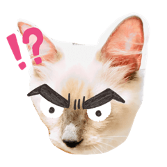 [LINEスタンプ] ほのスタンプ第2段