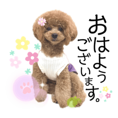 [LINEスタンプ] ペニ子☆日常語 ②