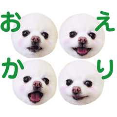 [LINEスタンプ] シアン日記.a