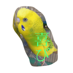 [LINEスタンプ] 鳥、猫、犬、人間