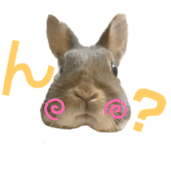 [LINEスタンプ] うちのツナ