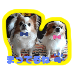 [LINEスタンプ] チワワのじゅりらん