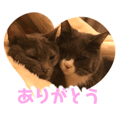 [LINEスタンプ] キキとミミのスタンプ第1弾