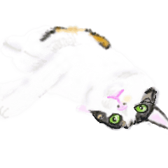[LINEスタンプ] 三毛猫ミカたんの日常