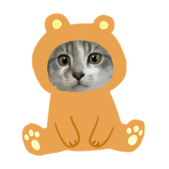 [LINEスタンプ] シャルがいつも言ってる集だ