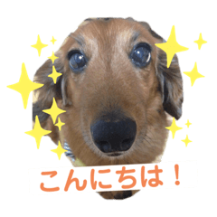 [LINEスタンプ] Team LKCとダーフィ