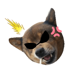 [LINEスタンプ] SuzukiFamilyのアイドル達②