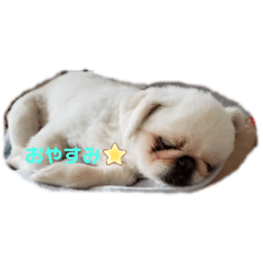 [LINEスタンプ] ししまるU・x・U
