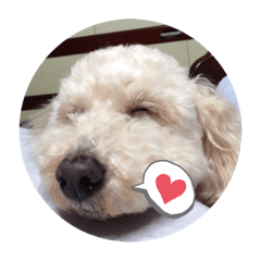 [LINEスタンプ] ・・・笑