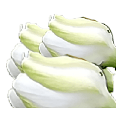 [LINEスタンプ] Flower2  クチナシ