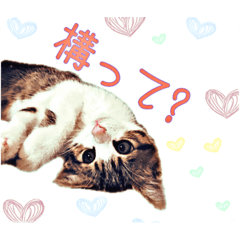 [LINEスタンプ] ゆるゆるチェロ＆セバス