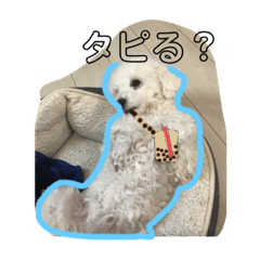 [LINEスタンプ] 可愛い マルオ スタンプ