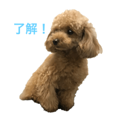 [LINEスタンプ] nonnon rinon